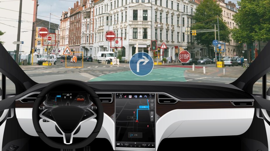 Autonomiczne samochody rozjeżdżają psy. Będą mandaty dla autopilotów