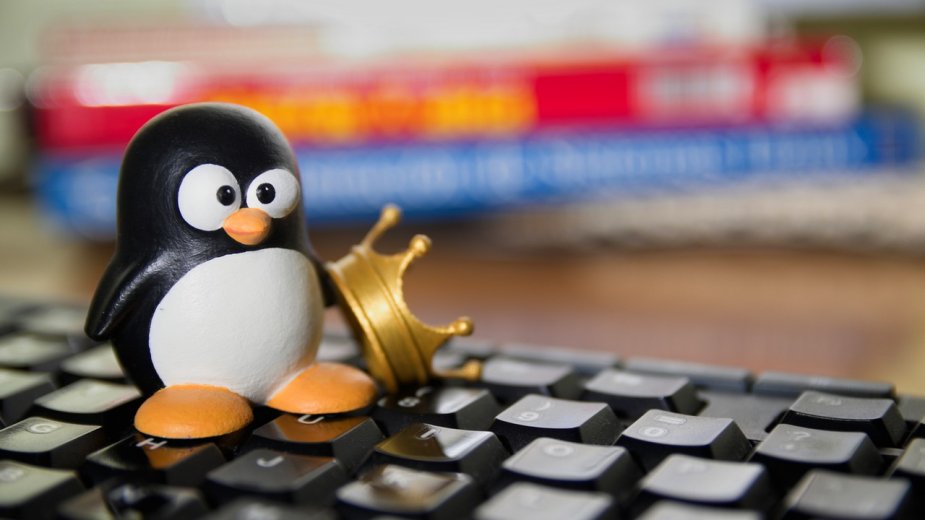 Błąd w Linux kernel ograniczał wydajność kart Radeon - winny był inżynier Nvidii