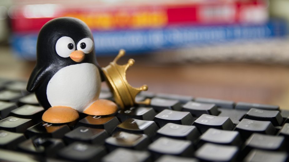 Linux lepszy? Nowy system przekona Cię do przesiadki z Windowsa