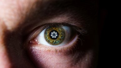  AfD: Skanowanie gałek ocznych Worldcoin służy „globalnemu nadzorowi ludzi”
