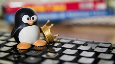 CrowdStrike w tym roku zepsuł także systemy Debian i Rocky Linux
