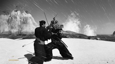 Fani PlayStation krytykują Ghost of Tsushima Director's Cut na PC