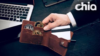 Kryptowaluta Chia – jak zacząć kopać i czy warto?