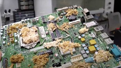 Naukowcy opracowali "żywy PC" zrobiony z grzybów