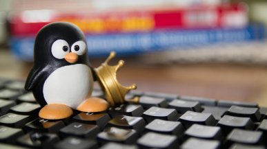 Niemiecki land porzuca Windowsa. Tysiące pracowników przejdą na Linuxa i LibreOffice