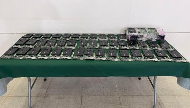 Próbowali przemycić 70 kart graficznych NVIDII w... żywych homarach