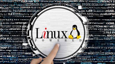 Windows 11 znów działa z Linuxem. Microsoft w końcu cofnął kontrowersyjną blokadę