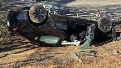 Autopilot Tesli wjechał w drzewo. Kierowca był bezradny