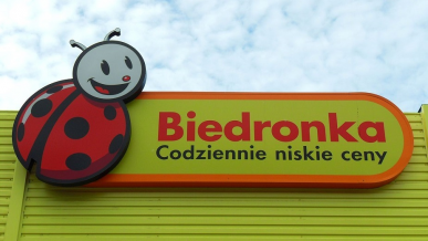 Biedronka ogłasza kolejną promocję na gry. Znamy pełną listę tytułów