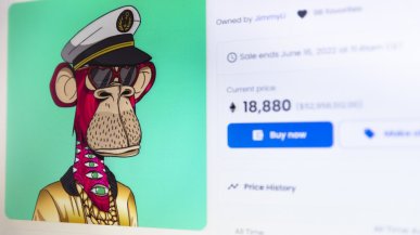 Podrabiał małpy z Mutant Ape Yacht Club NFT. Na naiwnych zarobił miliony